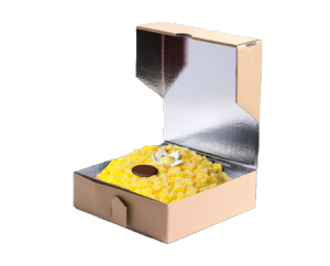 image (2).png